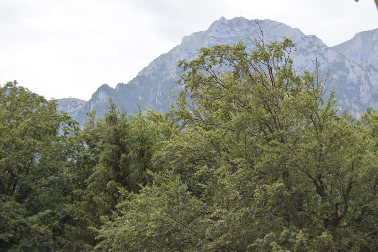 Pensiunea Clasic Buşteni Exteriér fotografie