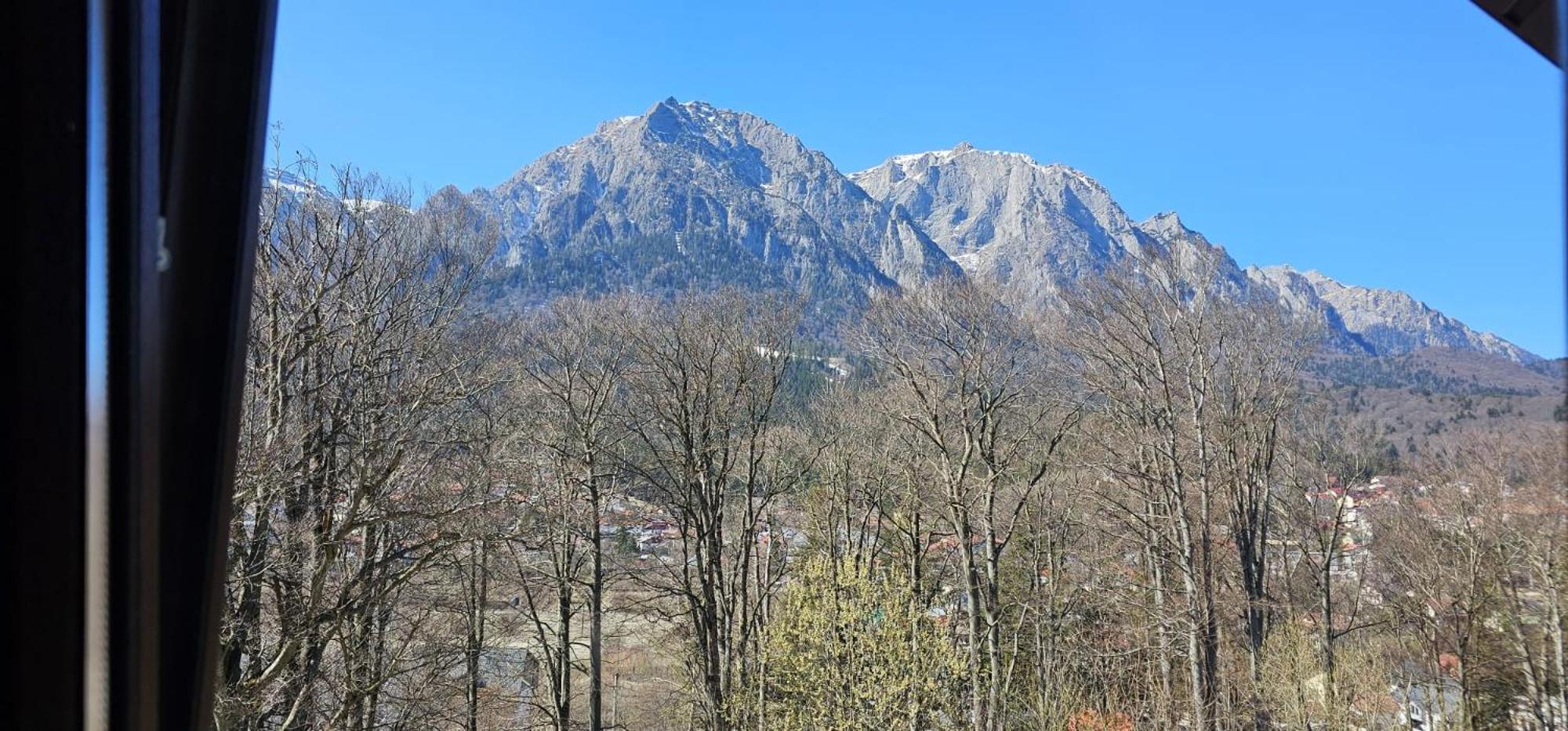 Pensiunea Clasic Buşteni Exteriér fotografie